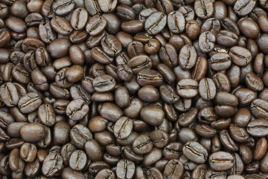 Rainforest Espresso Coffee Beans