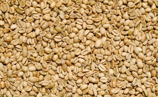 Sumatra Mocha Espresso Coffee Beans