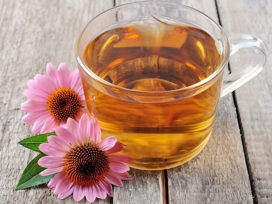 Echinacea Herb Loose Tea