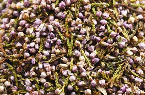 Heather Flowers Loose Tea