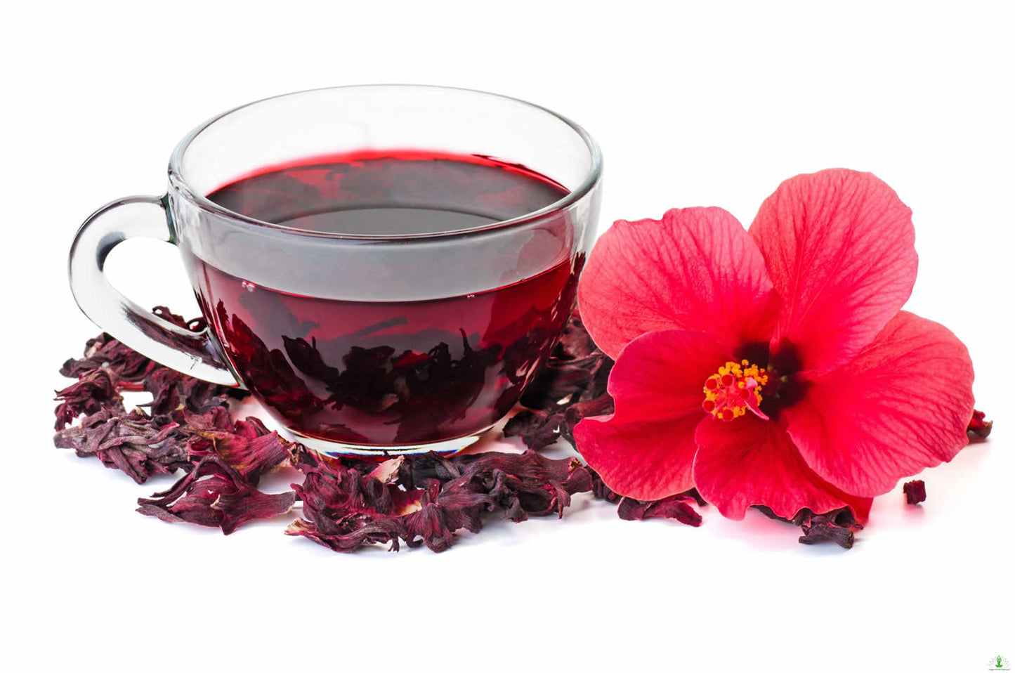 Hibiscus Flowers Loose Tea