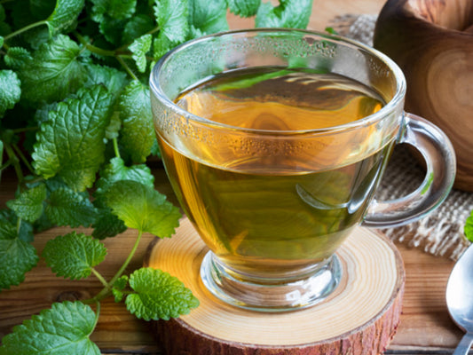 Lemon Balm Herb Loose Tea