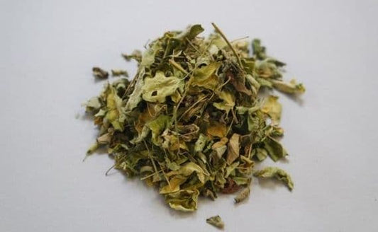 Moringa Leaves Loose Tea