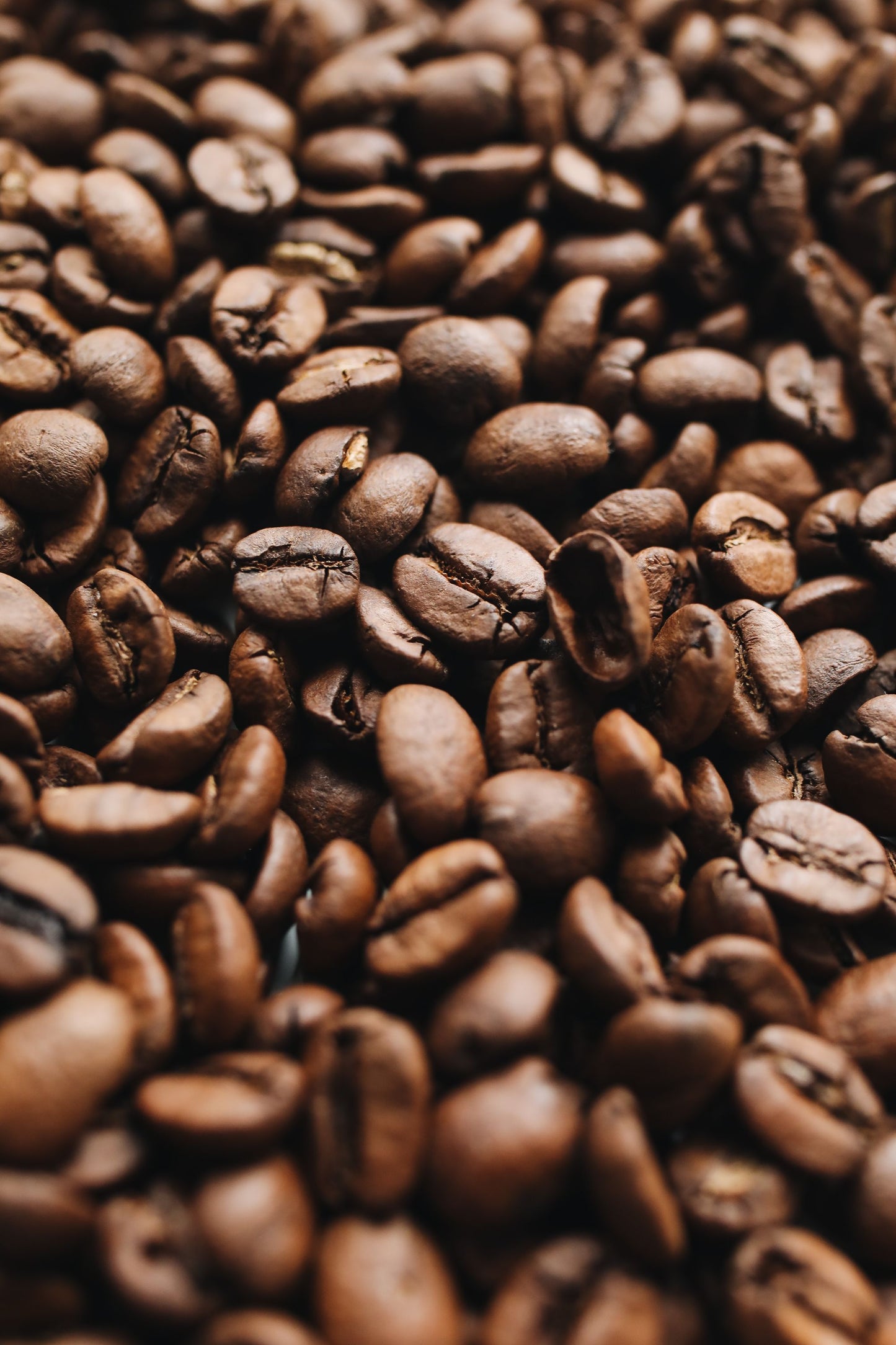 Peru Los Amigos Del Oso Coffee Beans